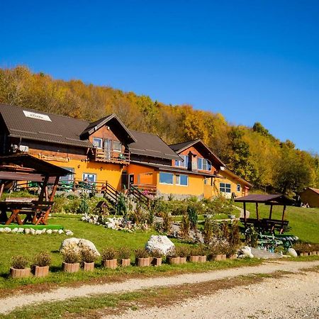 Hotel Dumbrava Ursului Zărneşti Exterior foto