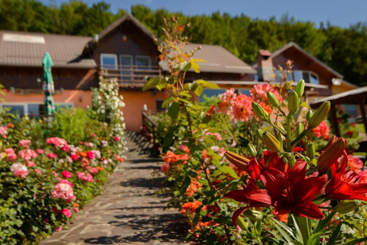 Hotel Dumbrava Ursului Zărneşti Exterior foto