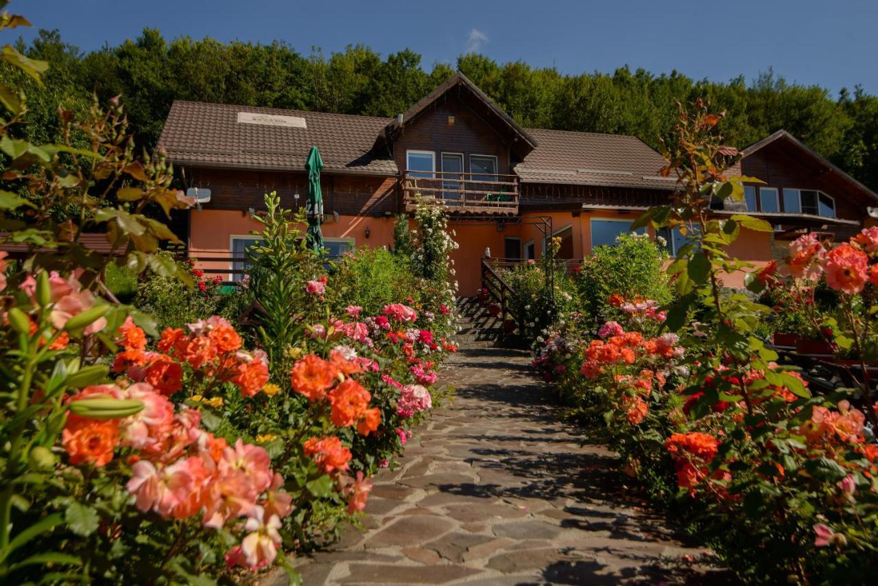 Hotel Dumbrava Ursului Zărneşti Exterior foto