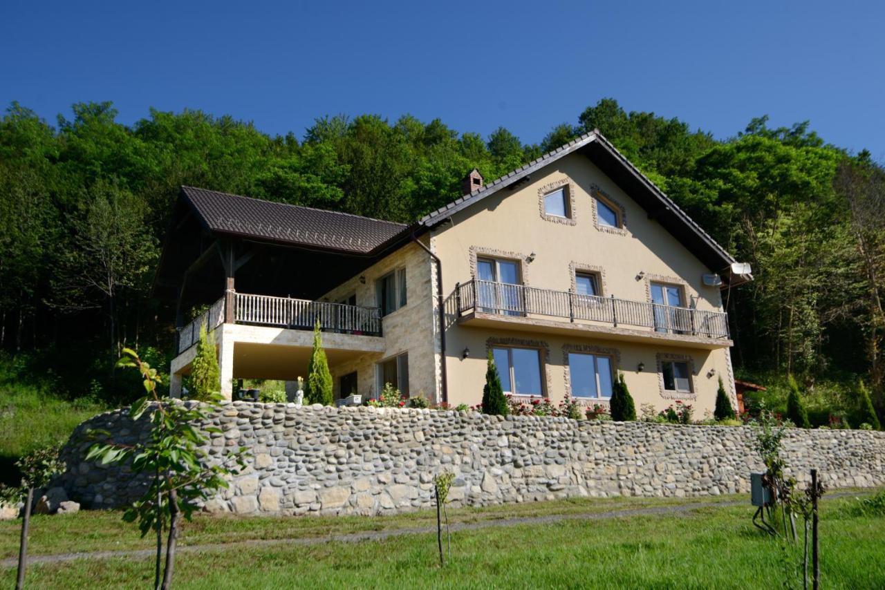 Hotel Dumbrava Ursului Zărneşti Exterior foto