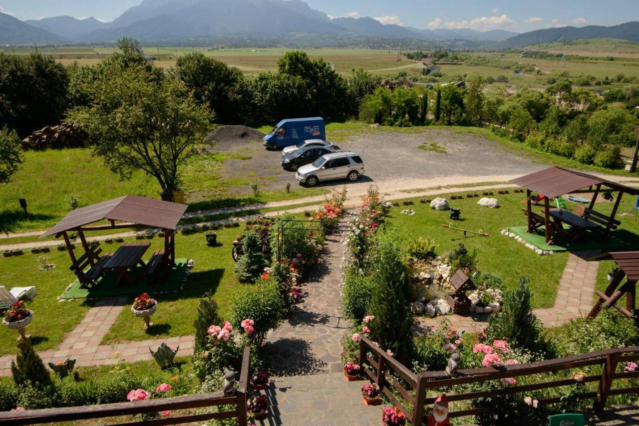 Hotel Dumbrava Ursului Zărneşti Exterior foto