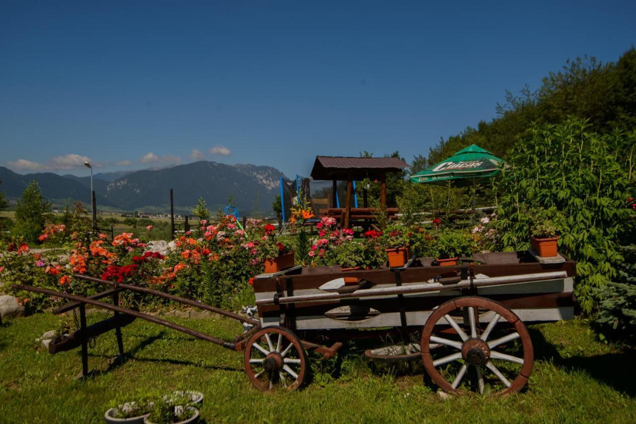 Hotel Dumbrava Ursului Zărneşti Exterior foto