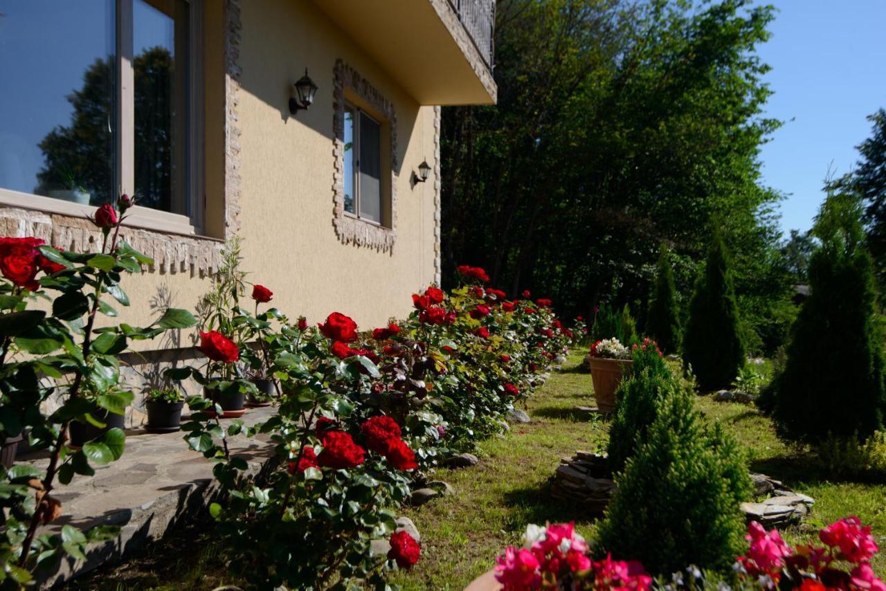 Hotel Dumbrava Ursului Zărneşti Exterior foto