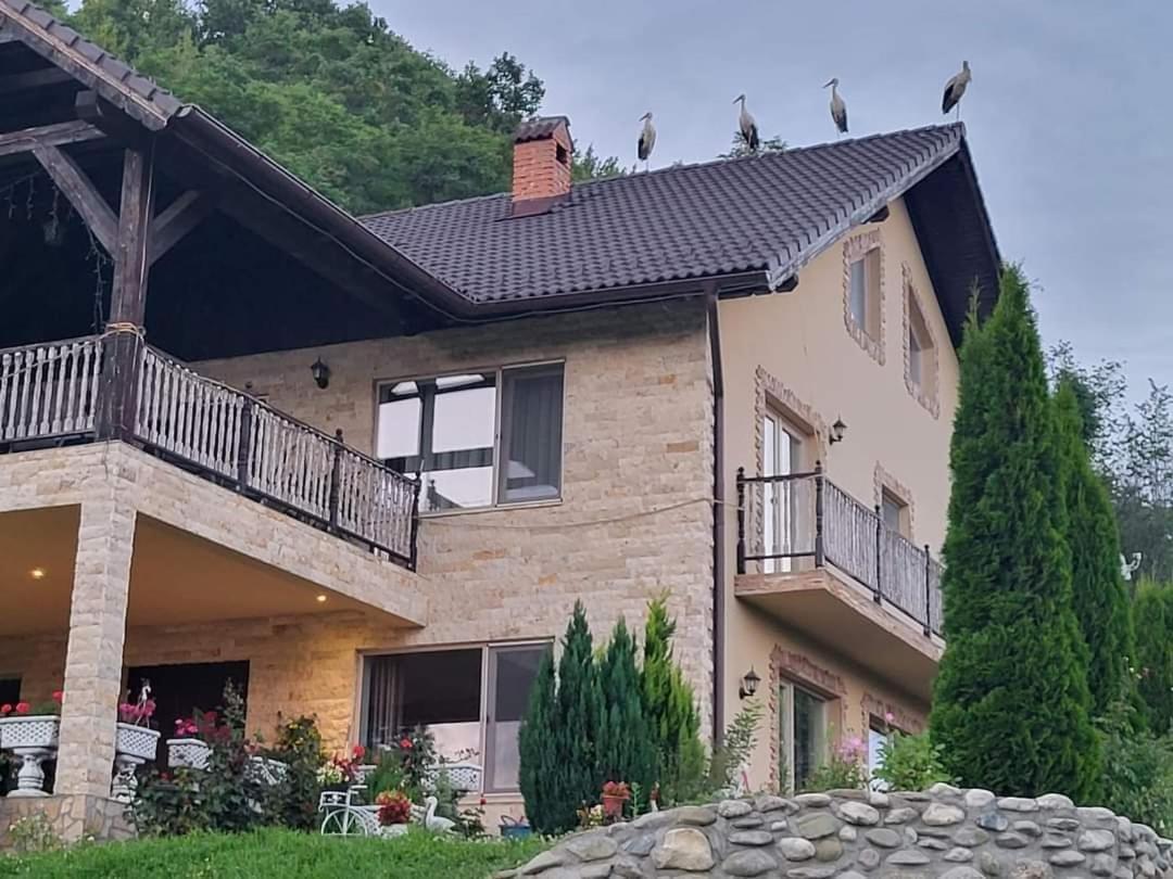 Hotel Dumbrava Ursului Zărneşti Exterior foto