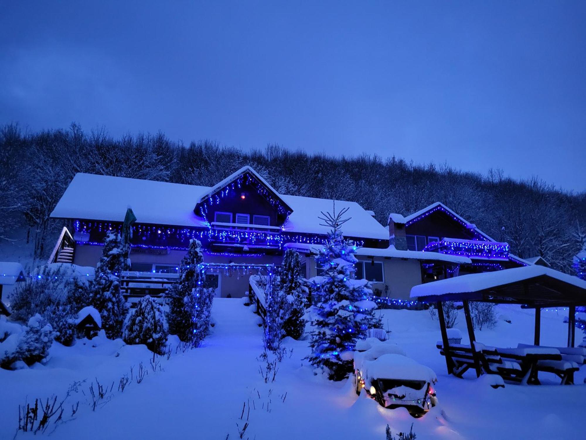 Hotel Dumbrava Ursului Zărneşti Exterior foto