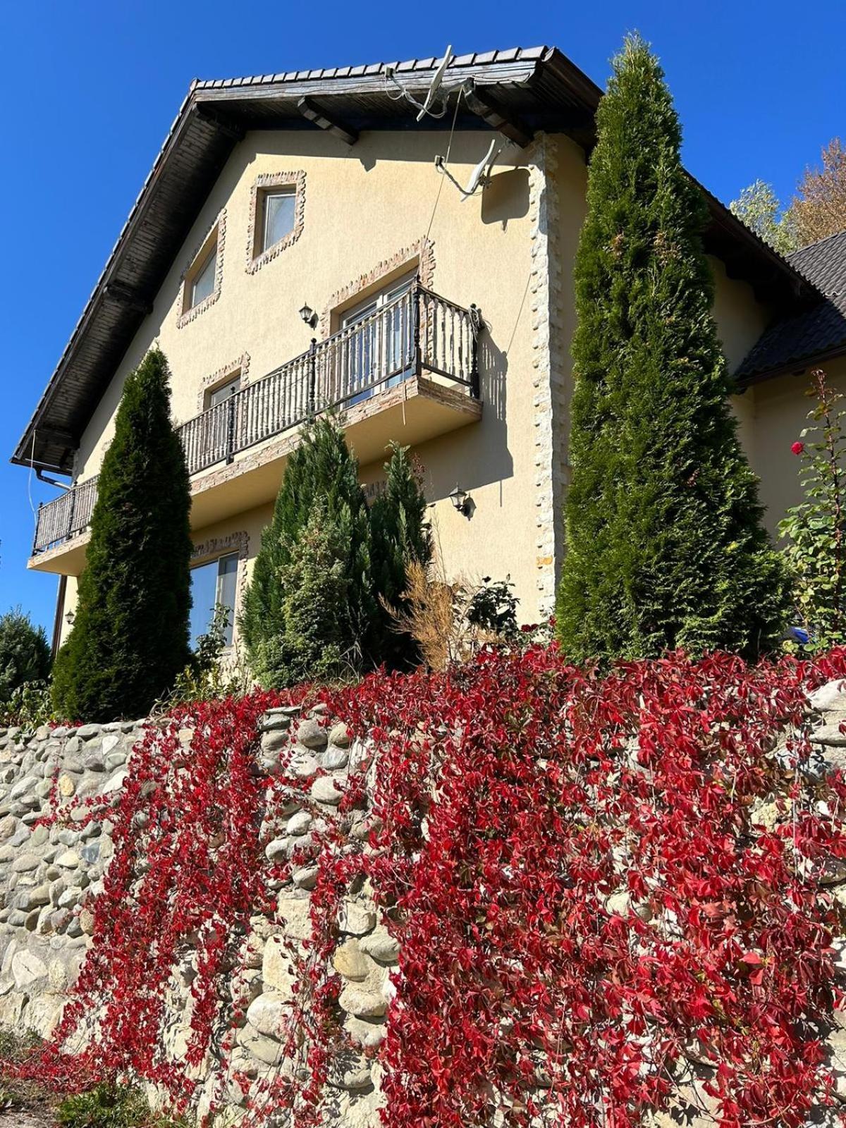 Hotel Dumbrava Ursului Zărneşti Exterior foto