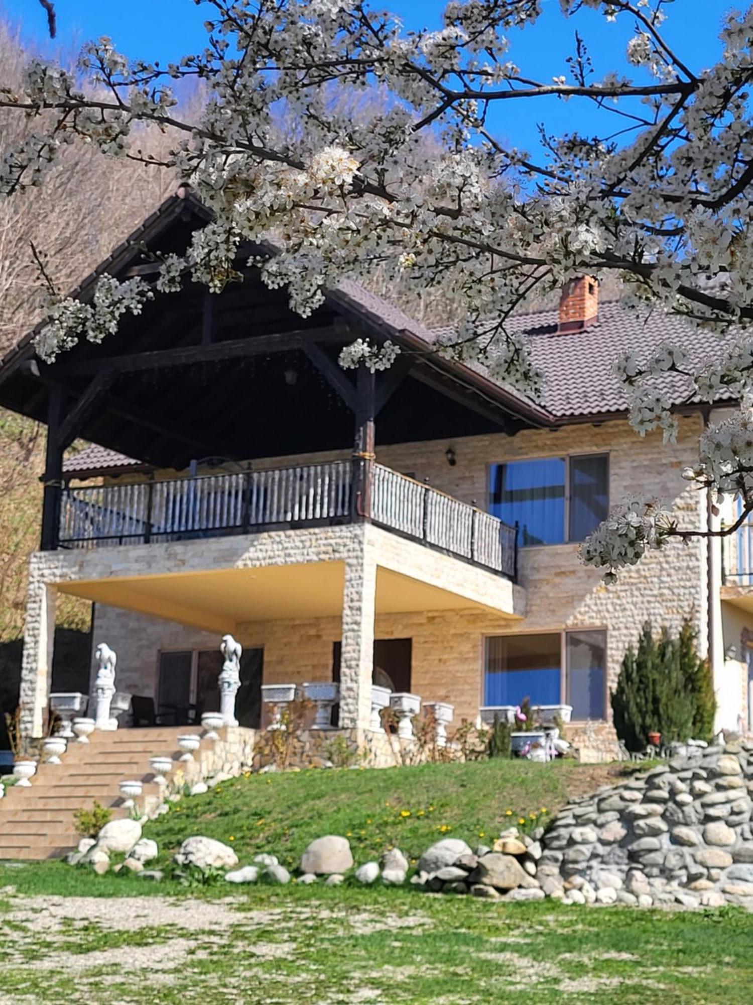 Hotel Dumbrava Ursului Zărneşti Exterior foto