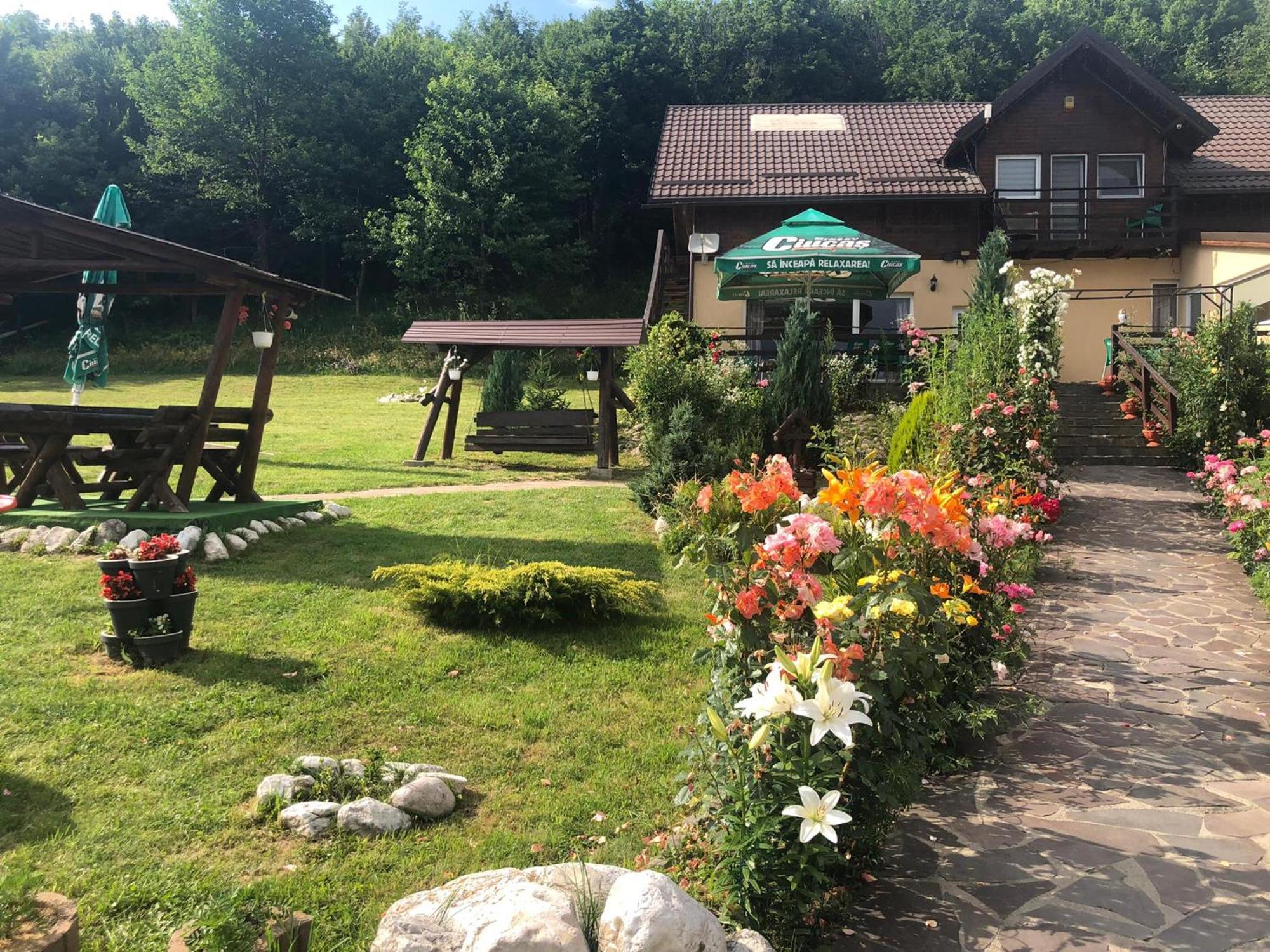 Hotel Dumbrava Ursului Zărneşti Exterior foto