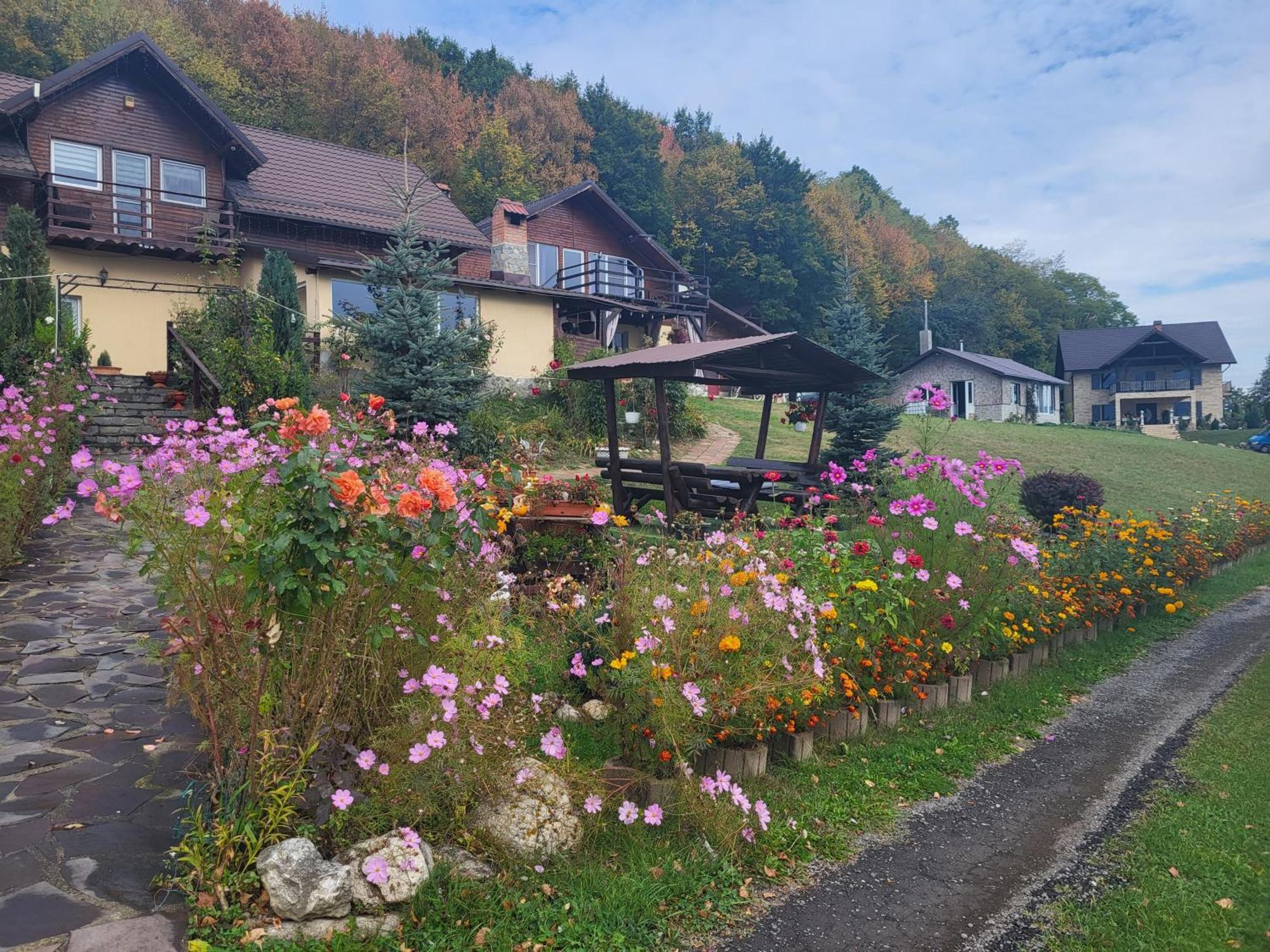 Hotel Dumbrava Ursului Zărneşti Exterior foto