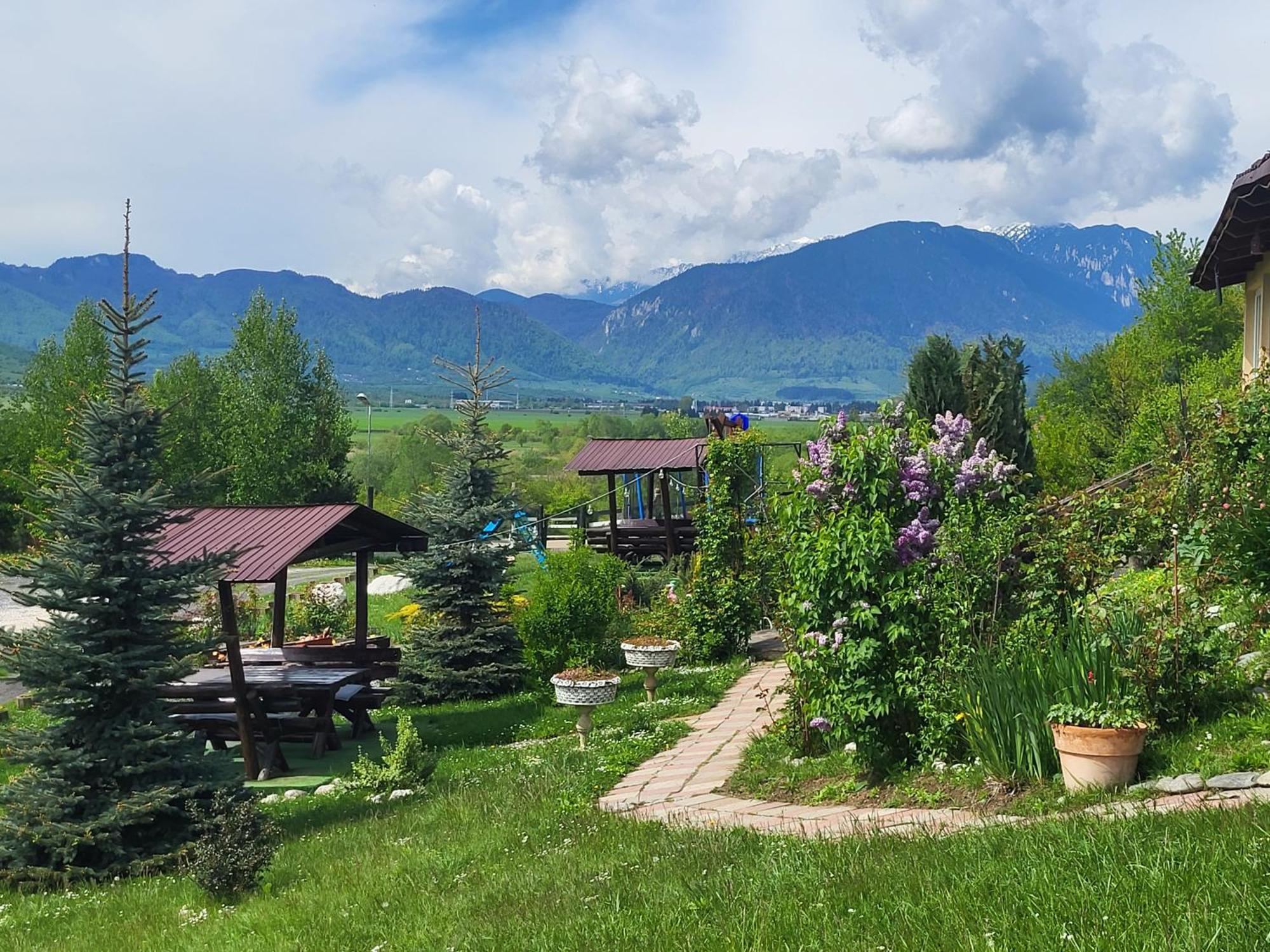 Hotel Dumbrava Ursului Zărneşti Exterior foto