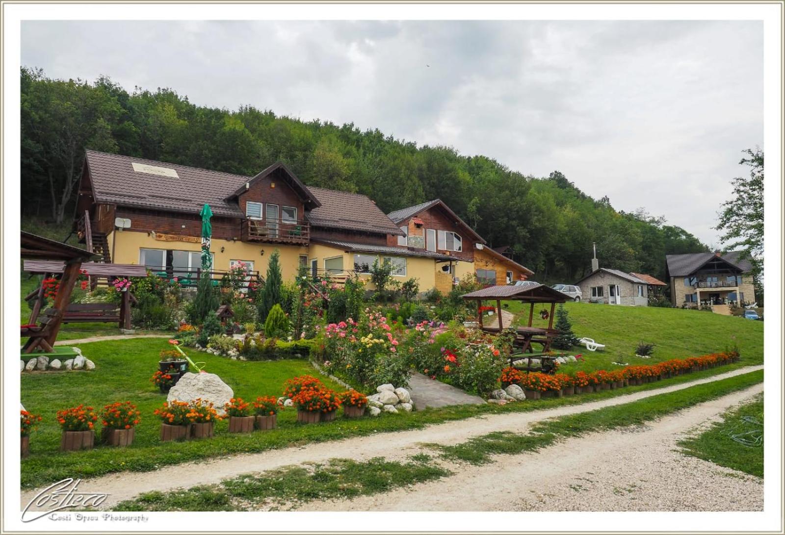 Hotel Dumbrava Ursului Zărneşti Exterior foto