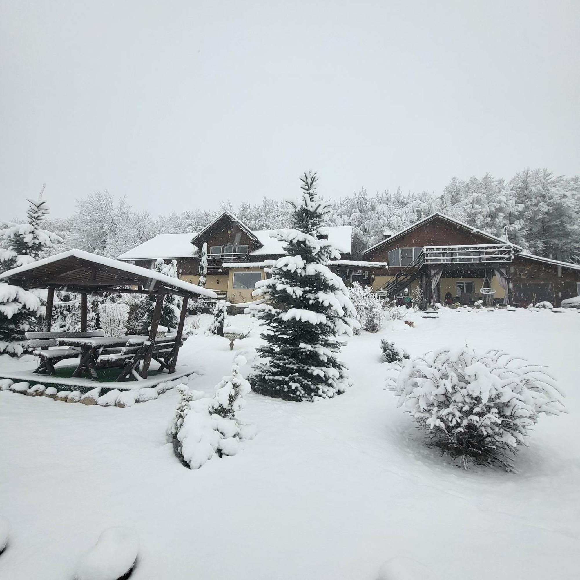 Hotel Dumbrava Ursului Zărneşti Exterior foto