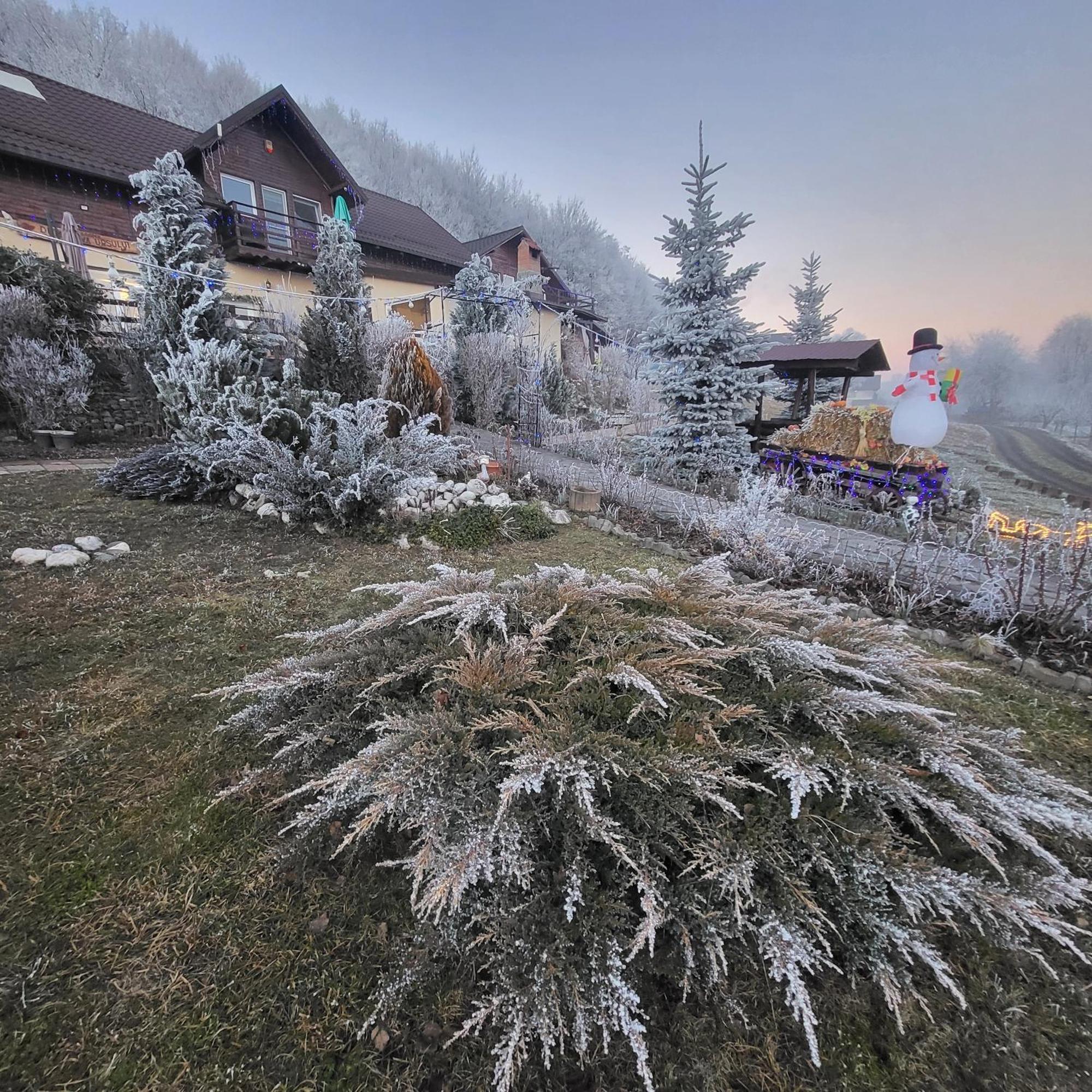 Hotel Dumbrava Ursului Zărneşti Exterior foto