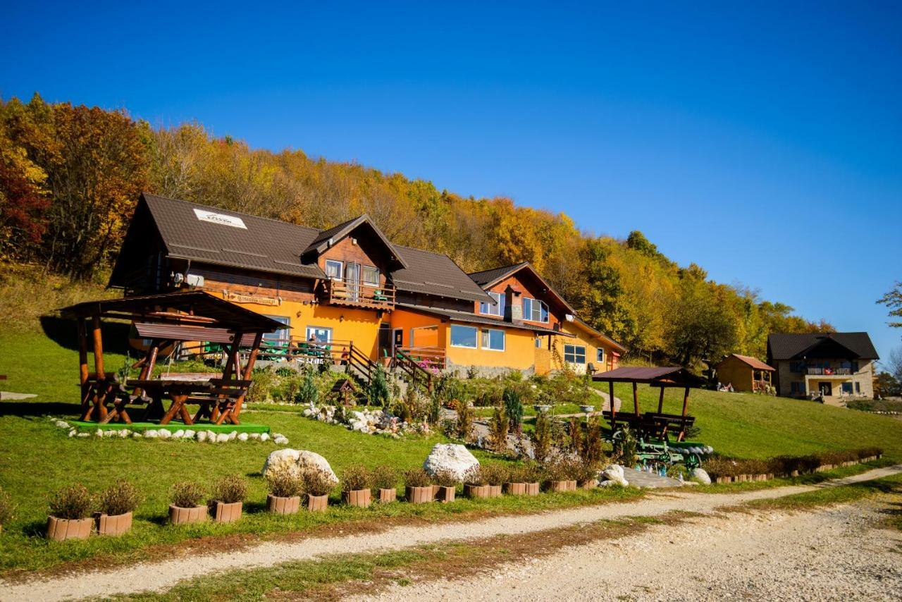 Hotel Dumbrava Ursului Zărneşti Exterior foto